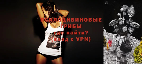 герыч Алексин