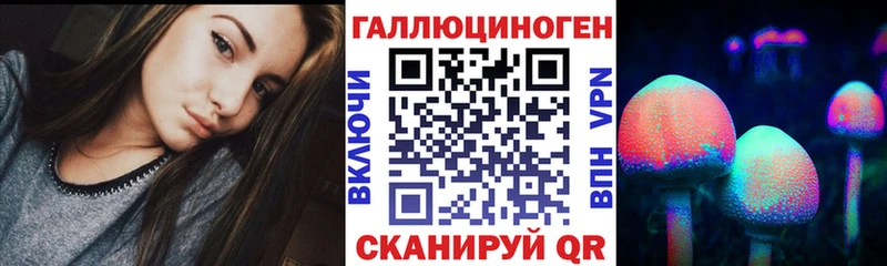 Псилоцибиновые грибы Cubensis Ипатово